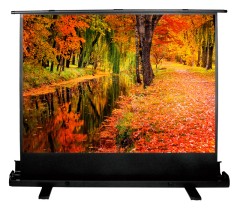 Экран Cactus 98" 150x200см FloorExpert CS-PSFLE-200X150 4:3 напольный рулонный