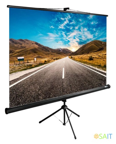 Экран Cactus 160x160см TriExpert CS-PSTE-160x160-BK 1:1 напольный рулонный черный