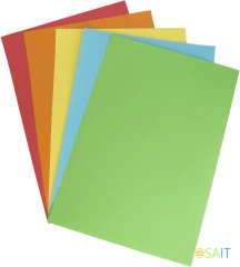 Бумага Silwerhof DAILY A4/80г/м2/100л./радуга интенсив (5цветов)