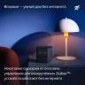 Умная колонка Yandex Станция Миди Алиса оранжевый 24W 1.0 BT/Wi-Fi 10м (YNDX-00054ORG)