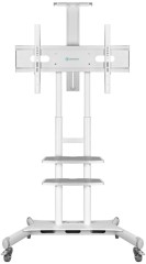 Подставка для телевизора Onkron TS1881 белый 50"-86" макс.90.9кг напольный мобильный