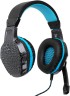 Наушники с микрофоном Оклик HS-L400G ZEUS черный/синий 2.2м мониторные оголовье (359480)