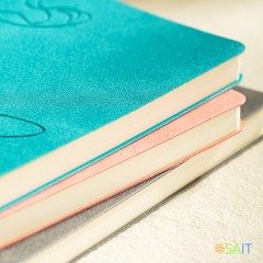 Блокнот Deli EN126LGREEN A5 210х143мм искусст. кожа 96л линейка мягкая обложка бирюзовый