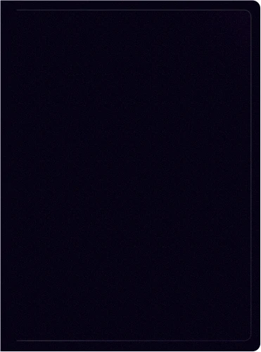 Папка с 20 прозр.вклад. Silwerhof Eco A4 пластик 0.5мм черный