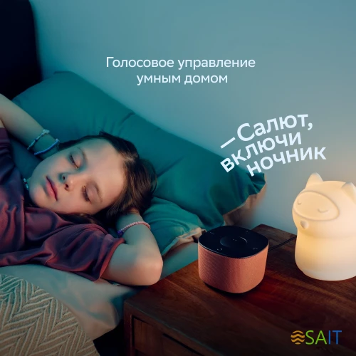 Умная колонка Sber Boom Home SBDV-00171G Салют серый 8W Mono BT/Wi-Fi (без.бат)