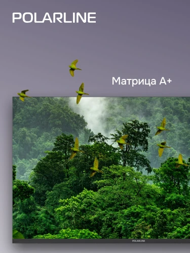 Телевизор LED PolarLine 43" 43PU11TC-SM черный 4K Ultra HD 60Hz DVB-T DVB-T2 DVB-C DVB-S DVB-S2 USB WiFi Smart TV (RUS)