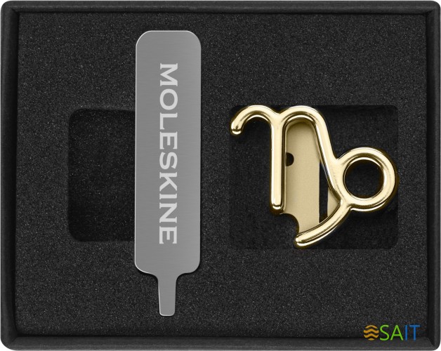 Шильд-символ Moleskine Zodiac Козерог металл золотистый коробка с европод. PINCAPRICORNGOLD