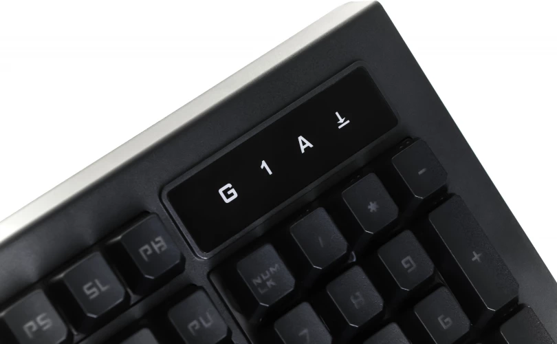 Клавиатура A4Tech Bloody B120N черный USB Multimedia for gamer LED (подставка для запястий) (B120N)