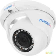 Камера видеонаблюдения IP Trassir TR-D2S5 3.6-3.6мм цв. корп.:белый (TR-D2S5 (3.6 MM))