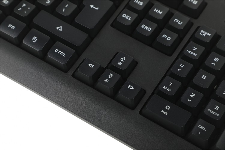 Клавиатура A4Tech Bloody Q100 черный USB Multimedia for gamer (Q100 USB)