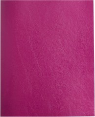 Тетрадь Buro 48л. клет. A5 202х163 1диз. бумвинил скоба бордовый