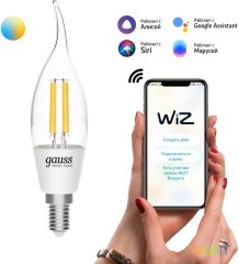 Умная лампа Gauss IoT Smart Home E14 4.5Вт 495lm Wi-Fi (упак.:1шт) (1280112)