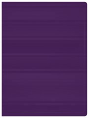 Папка с 80 прозр.вклад. Бюрократ DeLuxe DLVBOX80BBERRY A4 пластик 0.7мм черничный в коробе