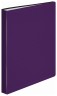 Папка с 80 прозр.вклад. Бюрократ DeLuxe DLVBOX80BBERRY A4 пластик 0.7мм черничный в коробе