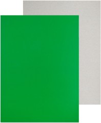 Картон цветной Silwerhof мелов. 8л. 8цв. A4 Монстрики 230г/м2 1диз. обл.мел.картон папка