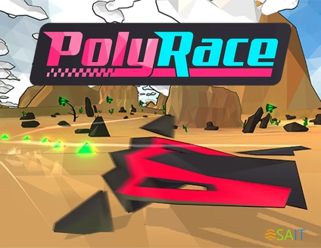 Игра для ПК Plug In Digital PolyRace (12+)