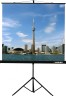 Экран на треноге Lumien 118" 220x220см Eco View LEV-100109 1:1 напольный рулонный