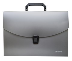 Портфель Silwerhof Perlen 322716-01 6 отдел. A4 пластик серебристый металлик