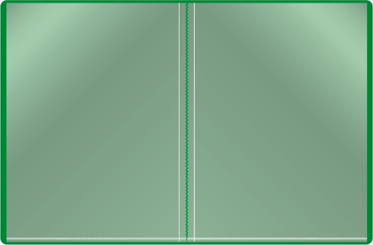 Папка с 10 прозр.вклад. Бюрократ -BPV10GRN A4 пластик 0.6мм торц.карм с бум. встав зеленый