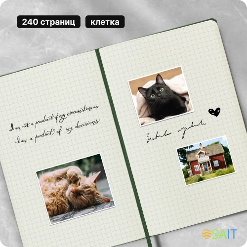 Блокнот Moleskine CLASSIC QP061K15 Large 130х210мм 240стр. клетка твердая обложка зеленый