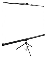 Экран Cactus 108" 165x220см TriExpert CS-PSTE-220x165-BK 4:3 напольный рулонный черный