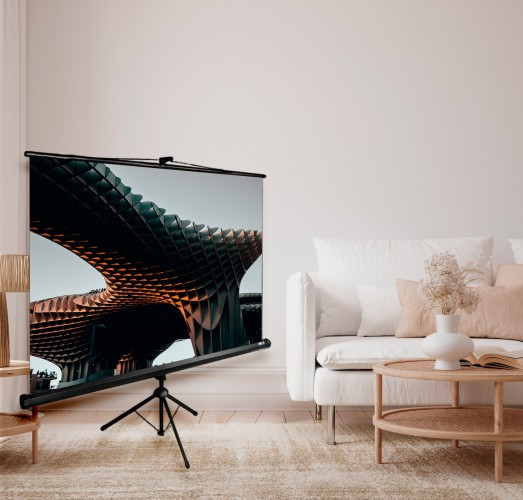 Экран Cactus 108" 165x220см TriExpert CS-PSTE-220x165-BK 4:3 напольный рулонный черный