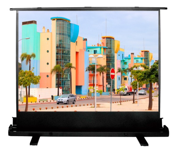 Экран Cactus 79" 120x160см FloorExpert CS-PSFLE-160X120 4:3 напольный рулонный