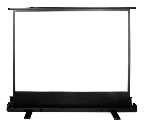 Экран Cactus 79" 120x160см FloorExpert CS-PSFLE-160X120 4:3 напольный рулонный