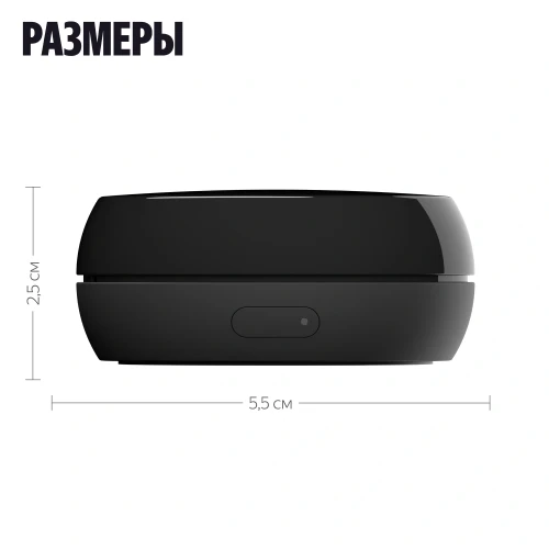 Умный пульт Yandex YNDX-00572 р.д.20м черный