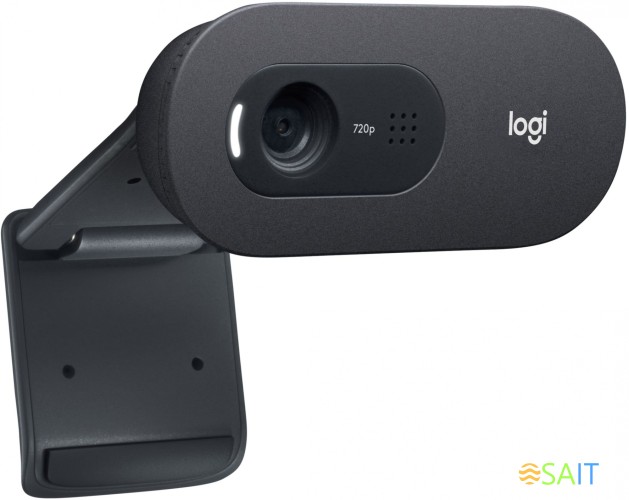 Камера Web Logitech HD Webcam C505e черный 1.2Mpix (1280x720) USB2.0 с микрофоном для ноутбука (960-001372)