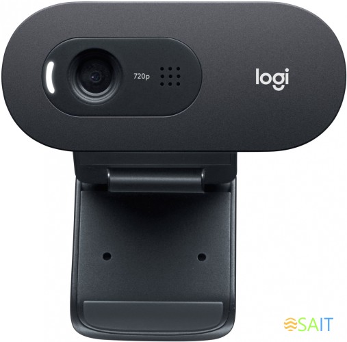 Камера Web Logitech HD Webcam C505e черный 1.2Mpix (1280x720) USB2.0 с микрофоном для ноутбука (960-001372)
