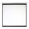Экран 213x213см Digis Electra-F DSEF-1107 1:1 настенно-потолочный рулонный (моторизованный привод)