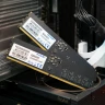 Память DDR5 32GB 6400MHz Patriot PSD532G6402C Signature RTL PC5-51200 CL52 DIMM 288-pin 1.1В dual rank Ret