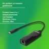 Сетевой адаптер Gigabit Ethernet Digma D-USBC-LAN1000 USB Type-C