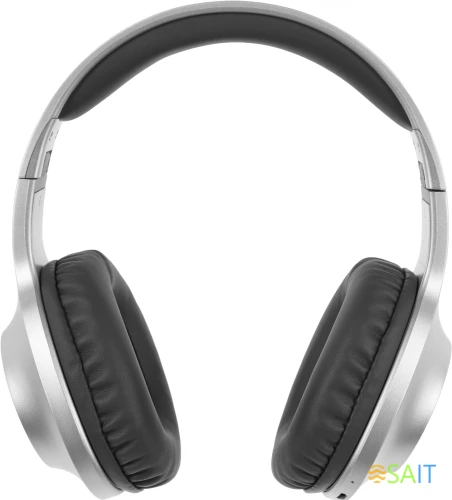 Наушники мониторные Panasonic RB-HX220BEES серебристый беспроводные bluetooth оголовье