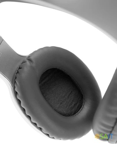 Наушники мониторные Panasonic RB-HX220BEES серебристый беспроводные bluetooth оголовье