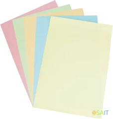 Бумага Silwerhof DAILY A4/80г/м2/100л./радуга пастель (5цветов) общего назначения(офисная)