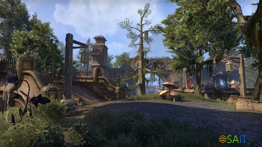 Игра для ПК Bethesda The Elder Scrolls Online: Standard Edition (18+)