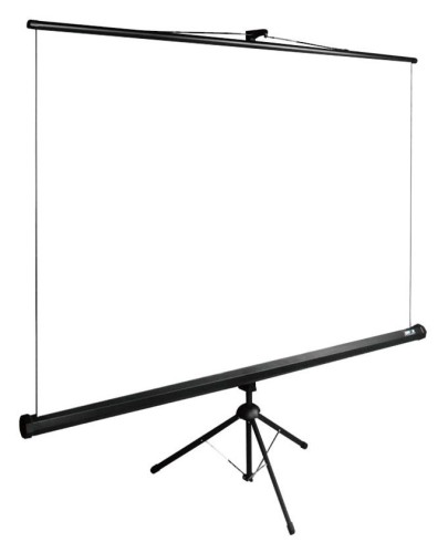 Экран Cactus 122" 220x220см TriExpert CS-PSTE-220x220-BK 1:1 напольный рулонный черный