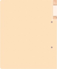 Папка на 2-х D-кольцах Бюрократ Gems GEM0812/2RCREAM A4 пластик 0.7мм кор.32мм торц.карм с бум. встав кремовый жемчуг