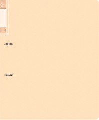 Папка на 2-х D-кольцах Бюрократ Gems GEM0812/2RCREAM A4 пластик 0.7мм кор.32мм торц.карм с бум. встав кремовый жемчуг