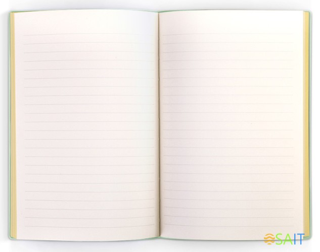 Блокнот Deli EN140LGREEN A5 210х143мм искусст. кожа 96л линейка мягкая обложка зеленый