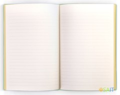 Блокнот Deli EN140LGREEN A5 210х143мм искусст. кожа 96л линейка мягкая обложка зеленый