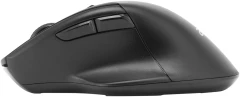 Мышь Acer OMR170 черный оптическая 1600dpi беспров. BT/Radio USB 5but (ZL.MCEEE.00N)