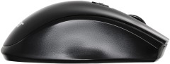 Мышь Acer OMR030 черный оптическая 1600dpi беспров. USB 4but (ZL.MCEEE.007)