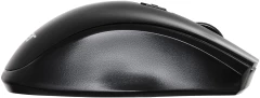 Мышь Acer OMR030 черный оптическая 1600dpi беспров. USB 3but (ZL.MCEEE.007)