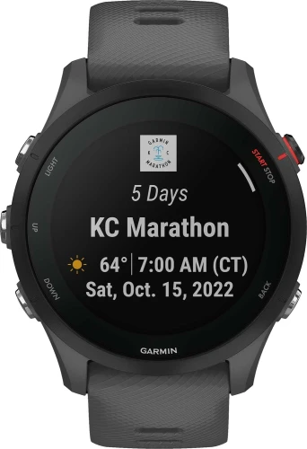 Смарт-часы Garmin Forerunner 255 33мм 1.3" корп.черный рем.темно-серый (010-02641-10)
