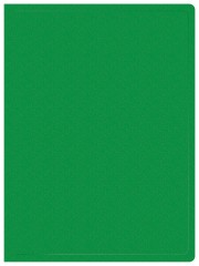 Папка с 20 прозр.вклад. Buro -ECB20GREEN A4 пластик 0.5мм зеленый