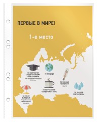 Папка-вкладыш Бюрократ Премиум -013A5 глянцевые A5 30мкм (упак.:100шт)
