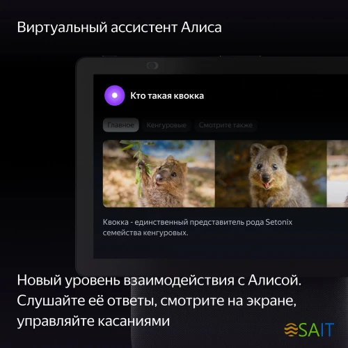 Умная колонка Yandex Станция Дуо Макс Zigbee Алиса черный 60W 1.0 BT/Wi-Fi 10м (YNDX-00055BLK)